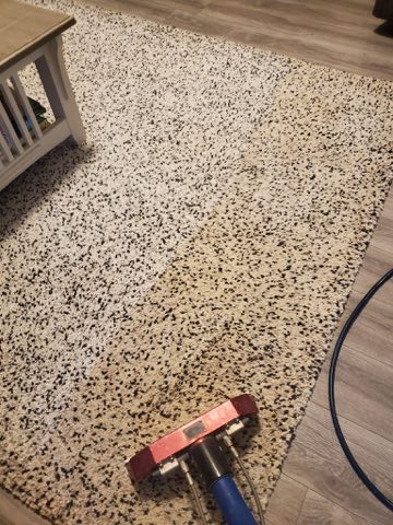 Cream speckled shag area rug being cleaned in a Charlotte home, before and after